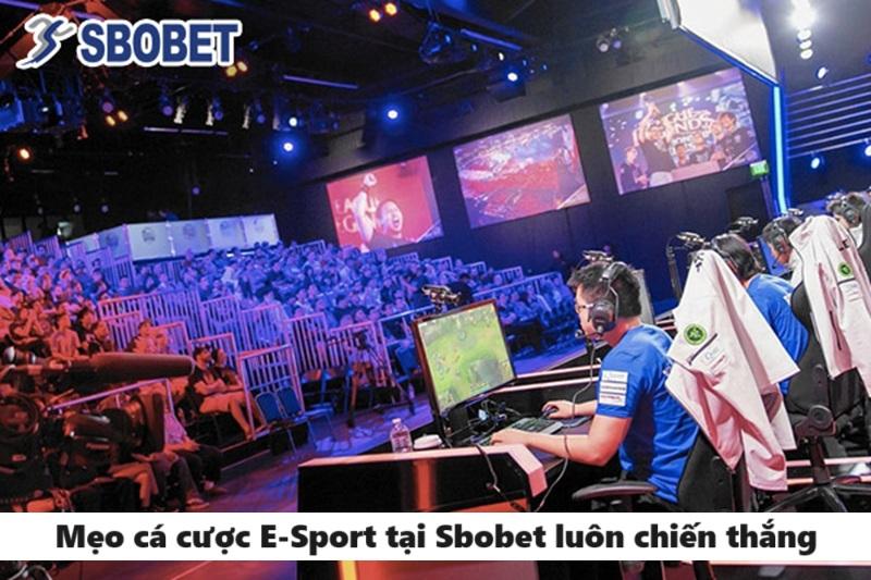 Mẹo chơi cá cược Esport tại Sbobet luôn chiến thắng